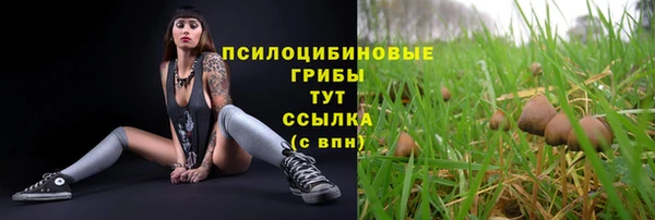 jwh Алзамай
