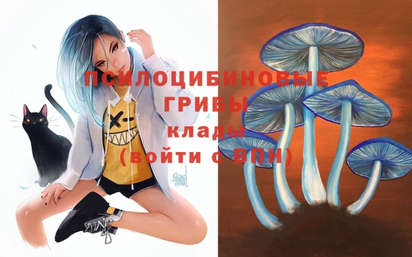 jwh Алзамай